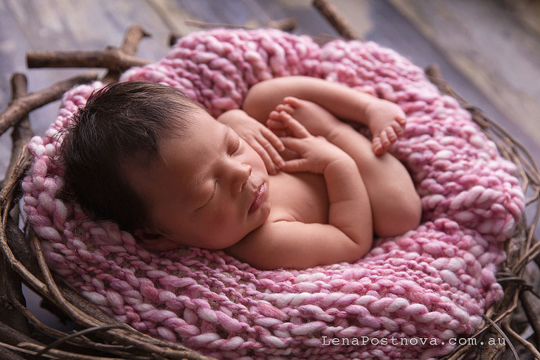 Sydney newborn photos - baby girl posed in the nest