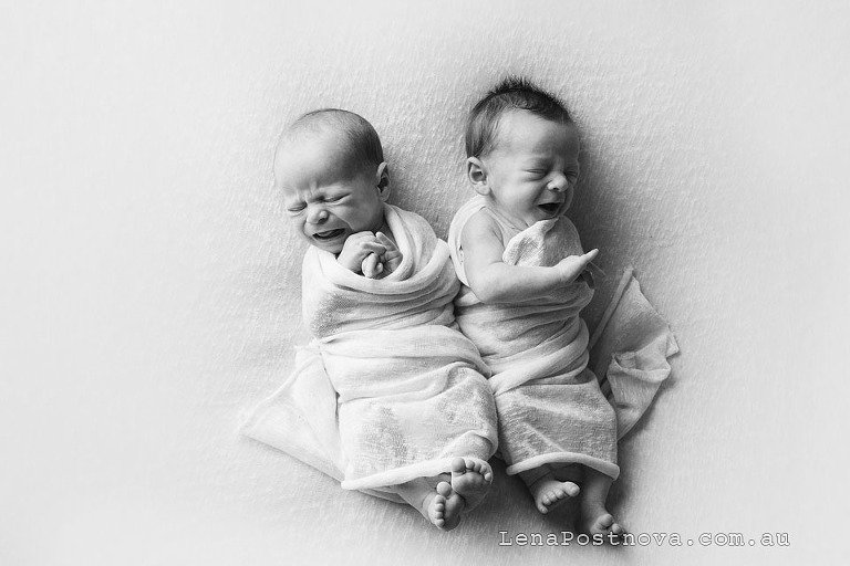 adorable newborn twins crying at Sydney twins photography photo shoot 