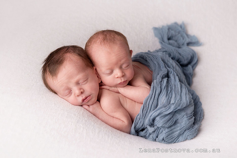 newborn twin boys posed portrait