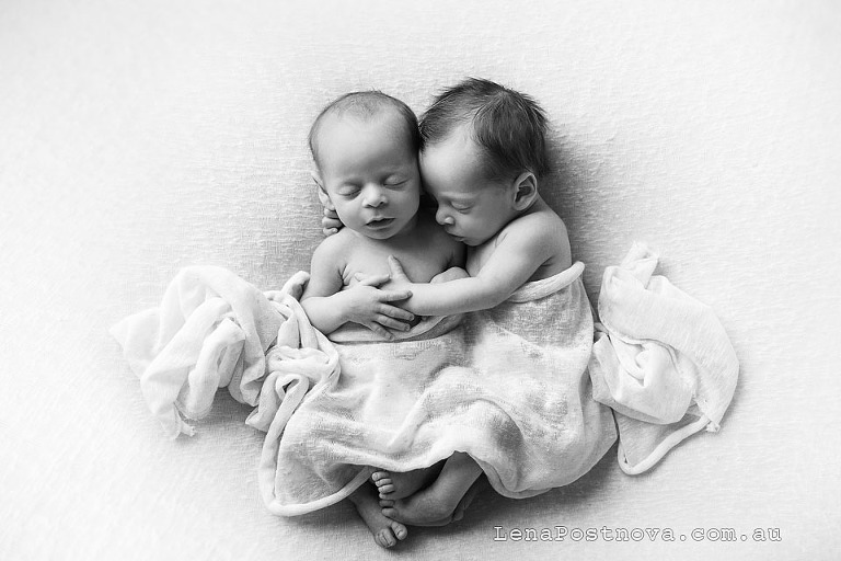 Sydney twins photography - newborn twins cuddling 