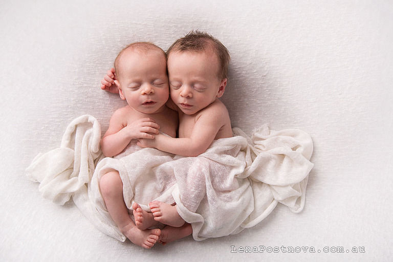 Sydney twins photography - 2 weeks old newborns cuddling 