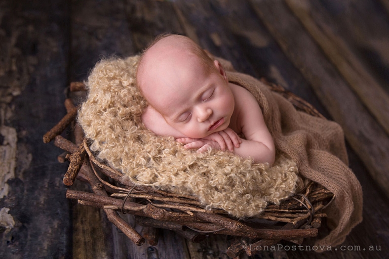 Older Newborn Photos posed 6 weeks old baby girl