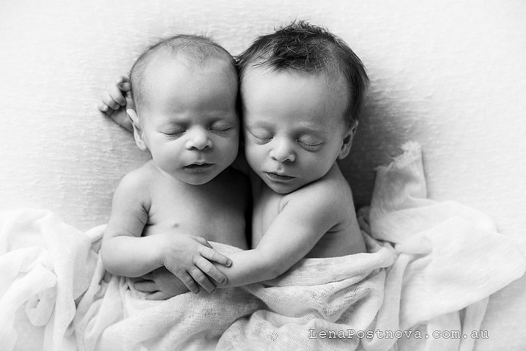 newborn twins cuddling close up portrait