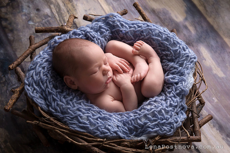 newborn in the nest