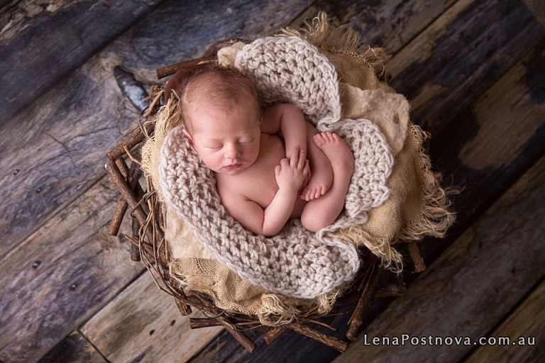 baby in the prop at newborn photo session
