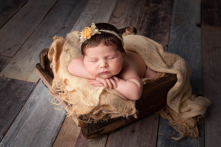  newborn baby in the prop at the Northern Beaches Newborn Photography session