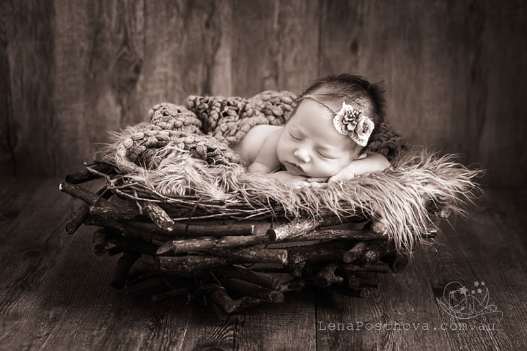 newborn in the prop by North Sydney Newborn Photographer 