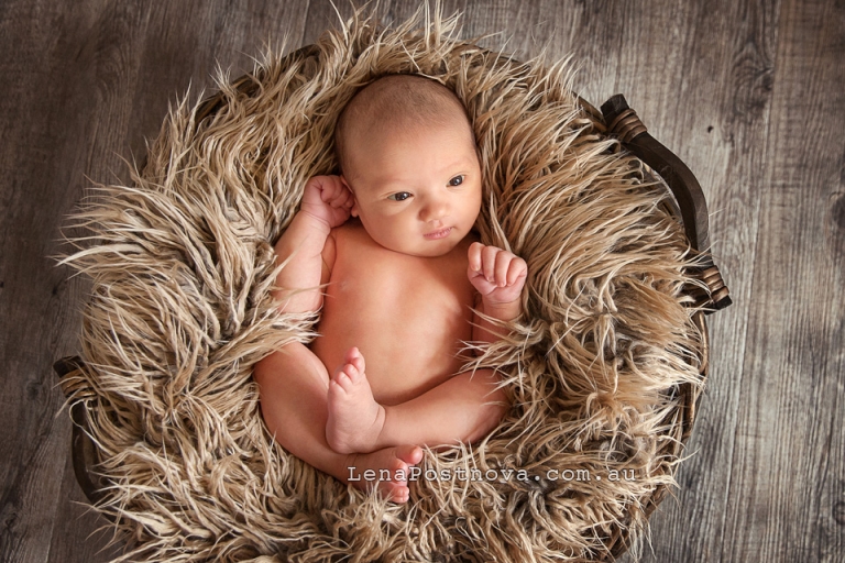 Baby Photography Sydney North Shore 