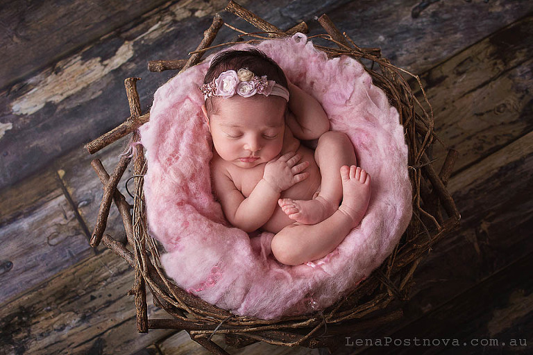 Photoshoot with newborn in the nest prop 