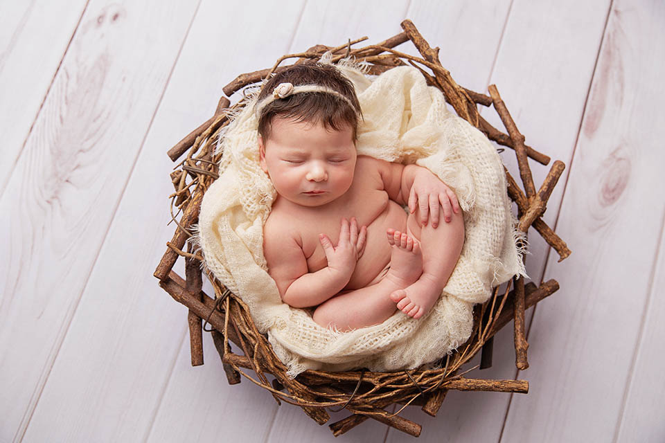 newborn baby in the basket